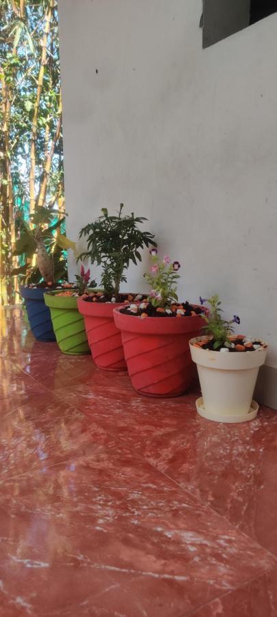 Mahabs homestay Villa Mahabalipuram Luaran gambar